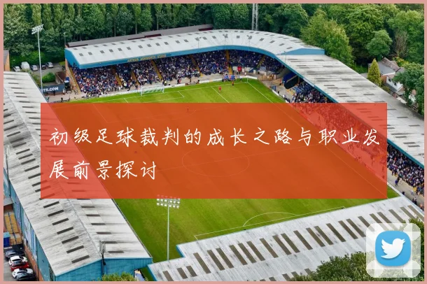 初级足球裁判的成长之路与职业发展前景探讨