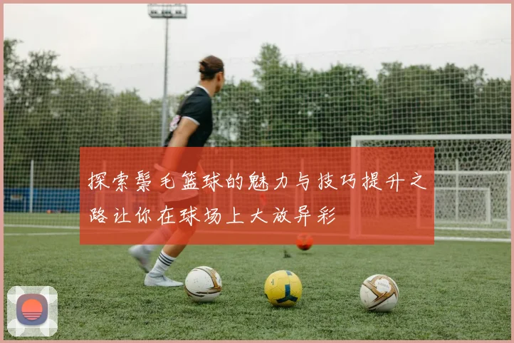 探索鬃毛篮球的魅力与技巧提升之路让你在球场上大放异彩