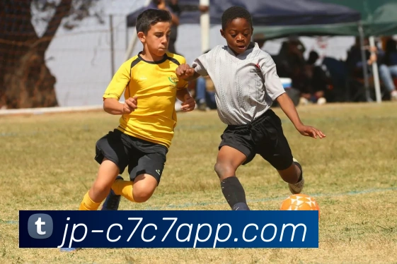 c7 entertainment平台生态图